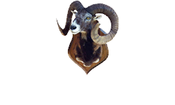 Annexe les Mouflons